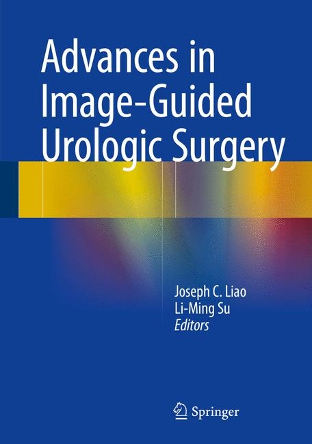 Advances in Image-Guided Urologic Surgery - 