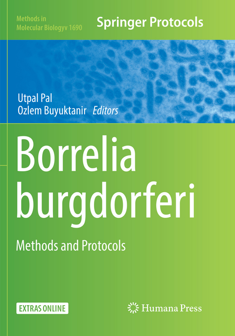 Borrelia burgdorferi - 