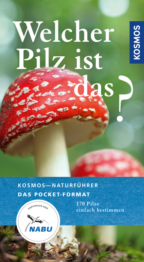 Welcher Pilz ist das? - Markus Flück