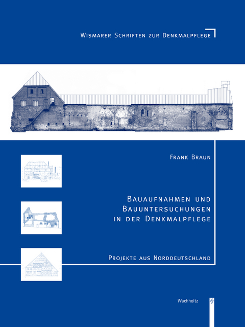 Bauaufnahmen und Bauuntersuchungen in der Denkmalpflege - Frank Braun