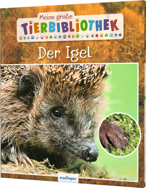 Meine große Tierbibliothek: Der Igel - Valérie Tracqui