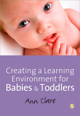 Creating a Learning Environment for Babies and Toddlers -  Ann Clare