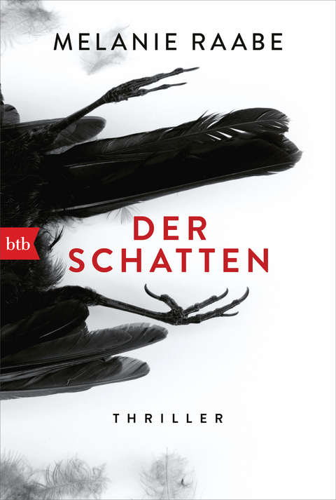 Der Schatten - Melanie Raabe