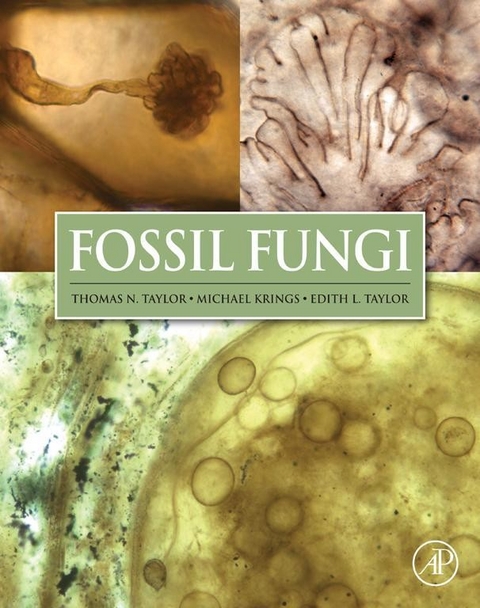 Fossil Fungi -  Michael Krings,  Edith L. Taylor,  Thomas N Taylor