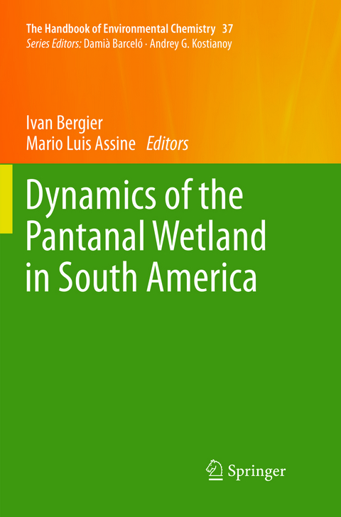 Dynamics of the Pantanal Wetland in South America - 