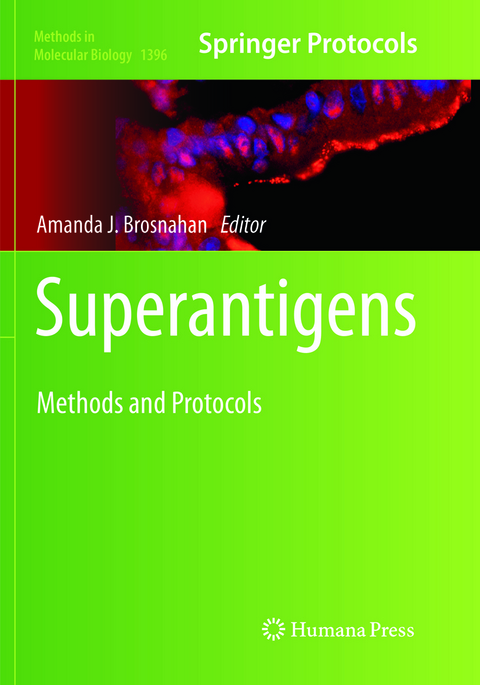 Superantigens - 