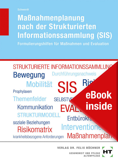 eBook inside: Buch und eBook Maßnahmenplanung nach der Strukturierten Informationssammlung (SIS) - Christine Schwerdt