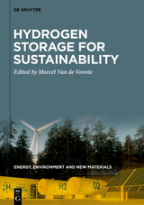 Energy, Environment and New Materials / Hydrogen Storage for Sustainability - 