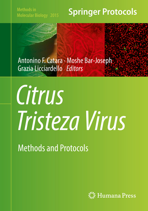 Citrus Tristeza Virus - 