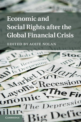 Economic and Social Rights after the Global Financial Crisis - 