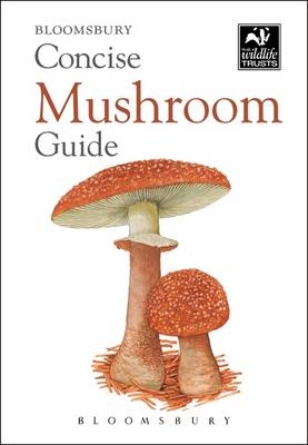 Concise Mushroom Guide -  Bloomsbury