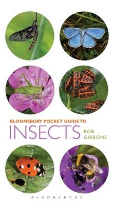 Pocket Guide to Insects -  Bob Gibbons