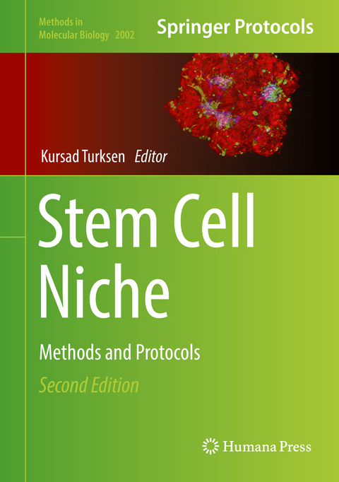 Stem Cell Niche - 