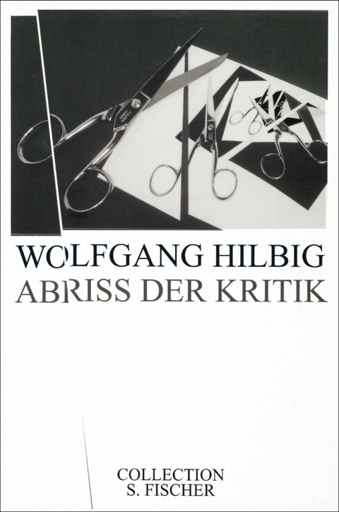 Abriss der Kritik -  Wolfgang Hilbig