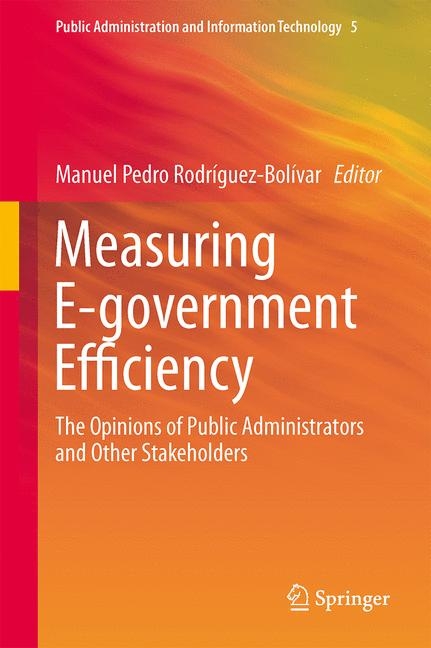 Measuring E-government Efficiency - 