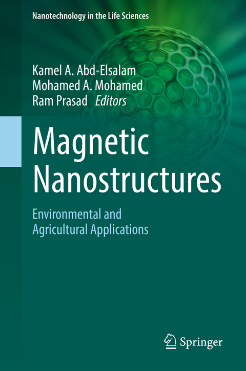 Magnetic Nanostructures - 