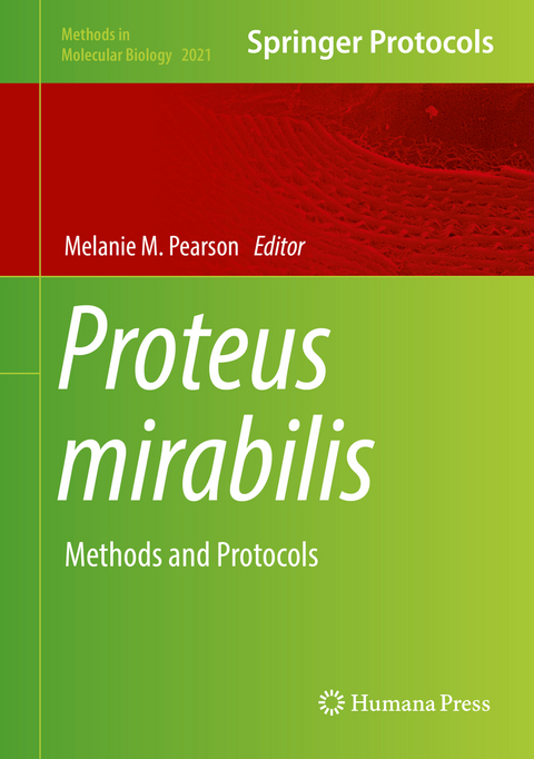 Proteus mirabilis - 