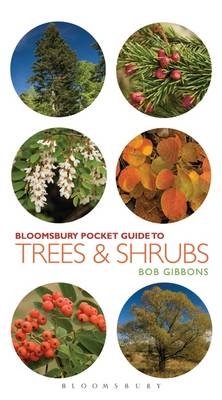 Pocket Guide to Trees and Shrubs -  Bob Gibbons