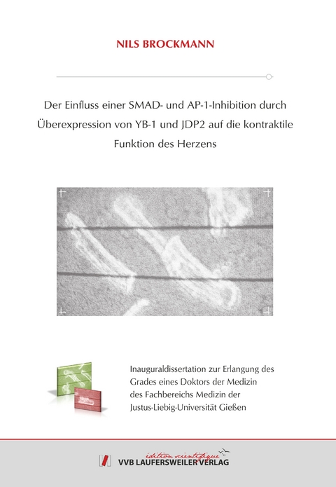 Der Einfluss einer SMAD- und AP-1-Inhibition durch Überexpression von YB-1 und JDP2 auf die kontraktile Funktion des Herzens - Nils Brockmann