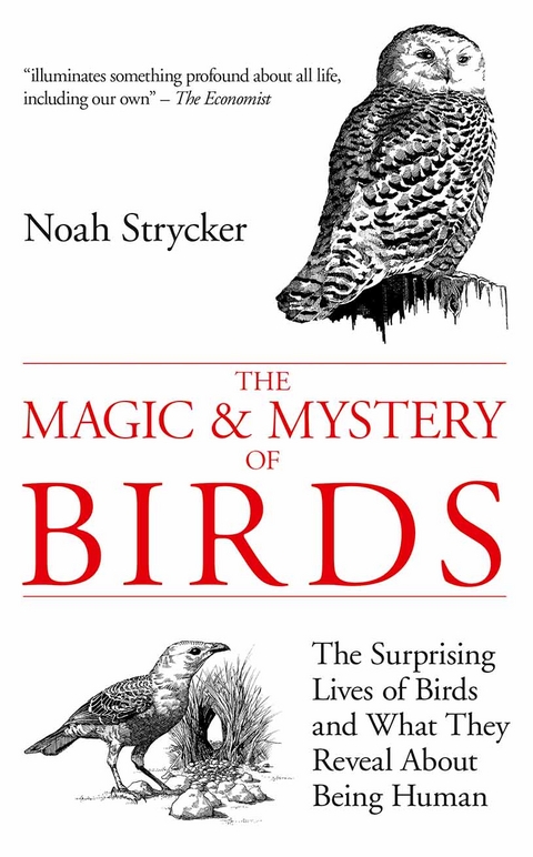 Magic & Mystery of Birds -  Strycker Noah Strycker