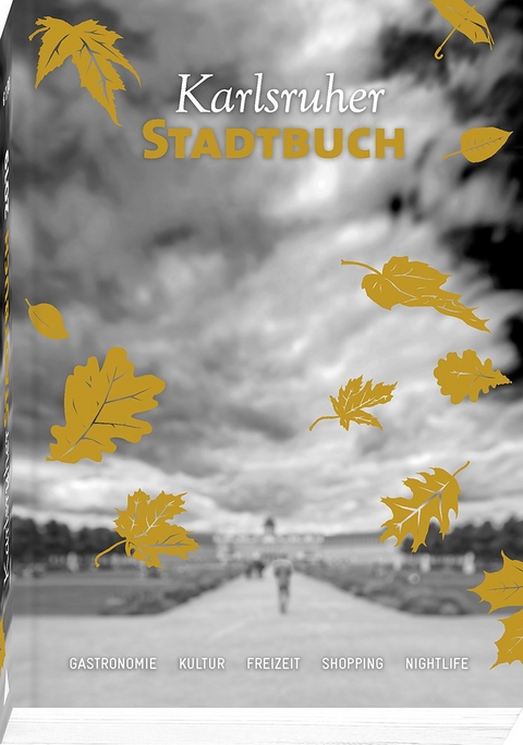 Karlsruher Stadtbuch 2019 - 