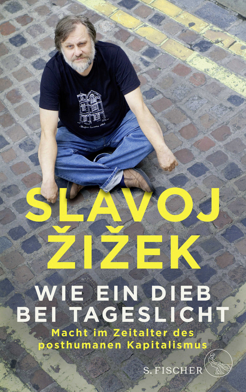 Wie ein Dieb bei Tageslicht - Slavoj Žižek