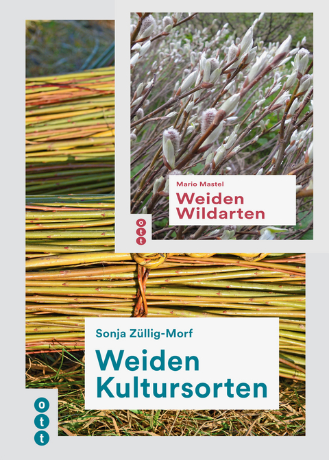 Weiden Kultursorten / Weiden Wildarten (beide Bände im Paket) - Sonja Züllig-Morf, Mario Mastel