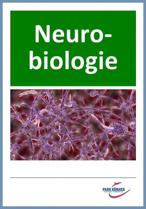 Neurobiologie (Sinnesorgane, Nerven, Nervensystem, Reizweiterleitung, Hormonsystem) - digitales Buch für die Schule, anpassbar auf jedes Niveau -  Park Körner GmbH