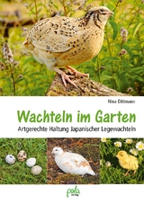 Wachteln im Garten - Nina Dittmann