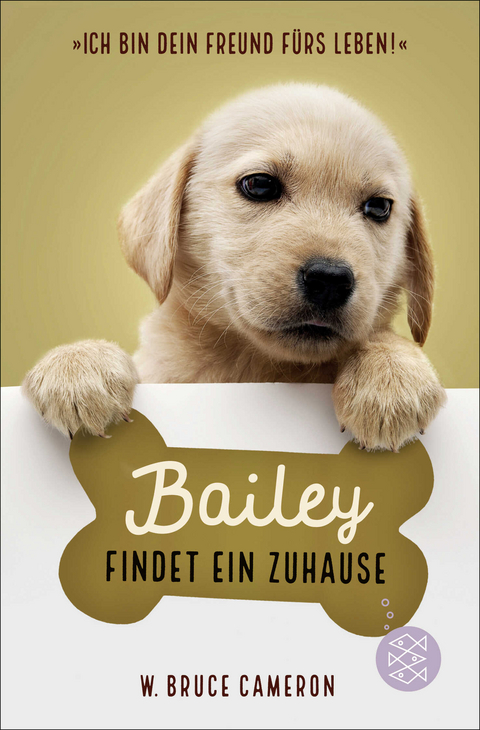 Bailey findet ein Zuhause - W. Bruce Cameron