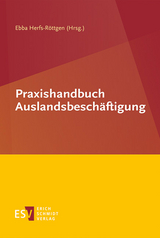 Praxishandbuch Auslandsbeschäftigung - Ebba Herfs-Röttgen, Martin Geraats, Michael Huth, Theo Kade, Mario Knepper, Carolin Kraus, David Marcone, Astrid Ternes, Steffen Wiederhold