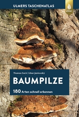 Baumpilze - Thomas L. Cech, Libor Jankovský