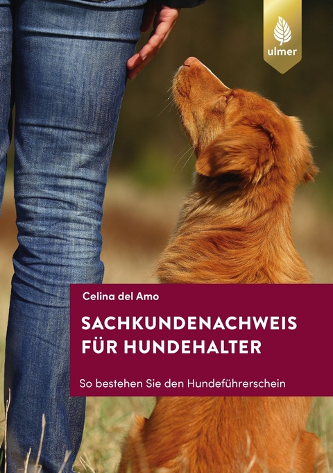 Sachkundenachweis für Hundehalter - Celina del Amo