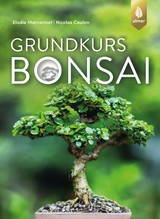 Grundkurs Bonsai - Elodie Marconnet, Nicolas Coulon, Claudia Arlinghaus