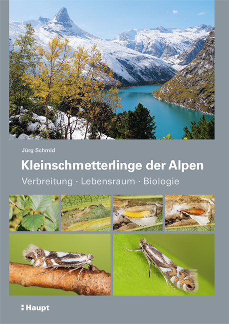 Kleinschmetterlinge der Alpen - Jürg Schmid