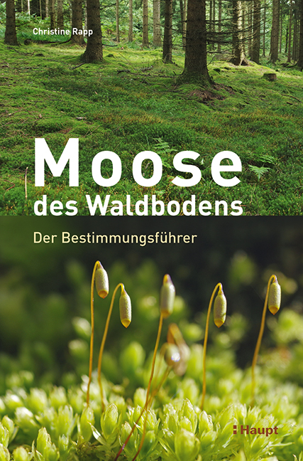 Moose des Waldbodens - Christine Rapp