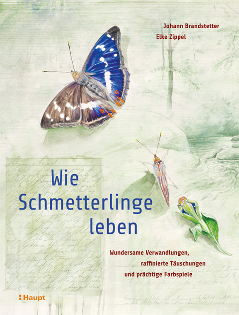 Wie Schmetterlinge leben - Johann Brandstetter, Elke Zippel