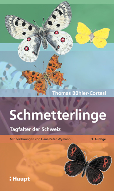 Schmetterlinge - Thomas Bühler-Cortesi