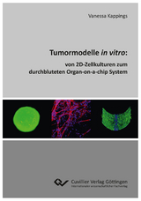 Tumormodelle in vitro - Vanessa Kappings