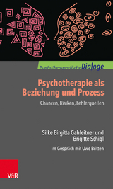 Psychotherapie als Beziehung und Prozess: Chancen, Risiken, Fehlerquellen - Silke Birgitta Gahleitner, Brigitte Schigl