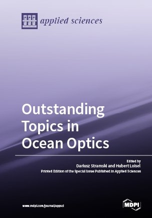 Outstanding Topics in Ocean Optics - 