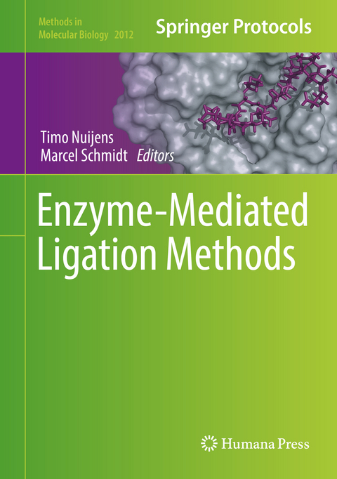 Enzyme-Mediated Ligation Methods - 