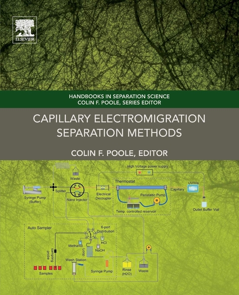 Capillary Electromigration Separation Methods - 