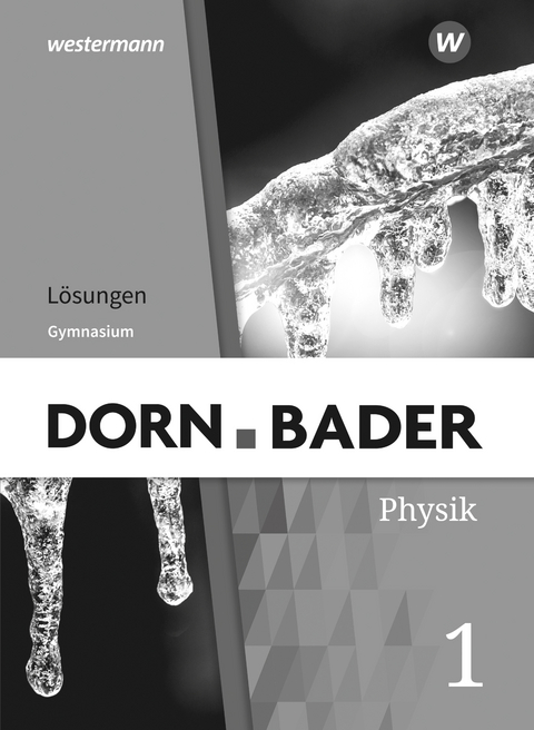 Dorn / Bader Physik SI - Allgemeine Ausgabe 2019 - 