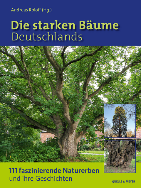 Die starken Bäume Deutschlands - 