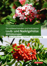 Die wildwachsenden und kultivierten Laub- und Nadelgehölze Mitteleuropas - Schmidt, Peter A.; Hecker, Ulrich