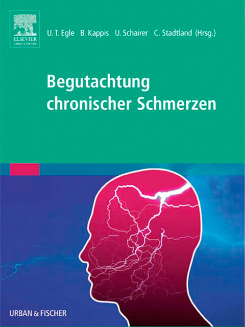 Begutachtung chronischer Schmerzen -  Claus Derra