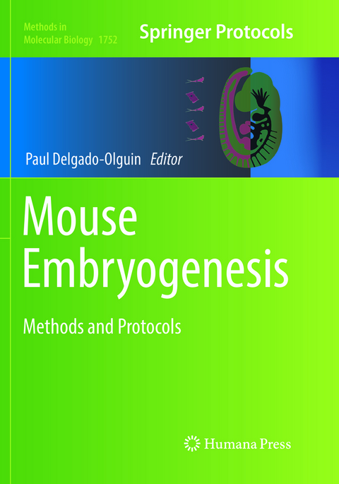 Mouse Embryogenesis - 