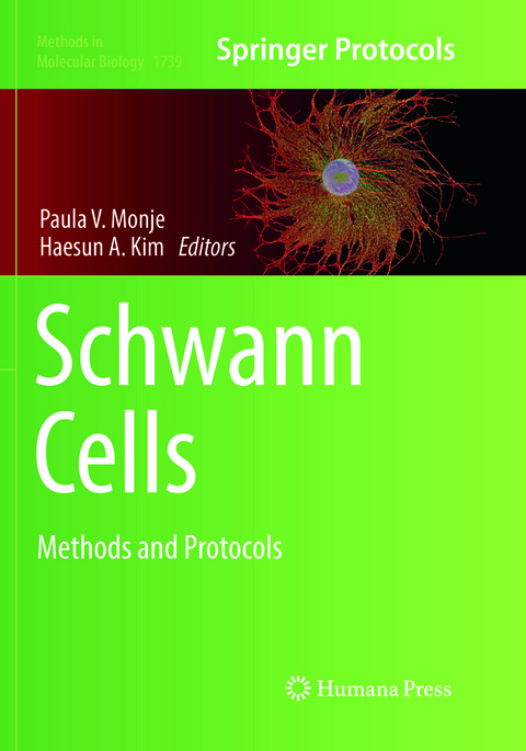 Schwann Cells - 