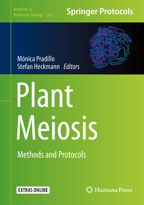 Plant Meiosis - 